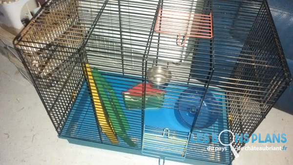 cage hamster gerbille 