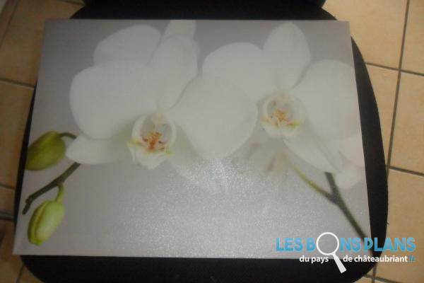 cadre orchidée 40*30 cm 